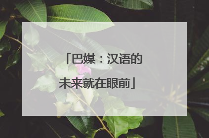 巴媒：汉语的未来就在眼前